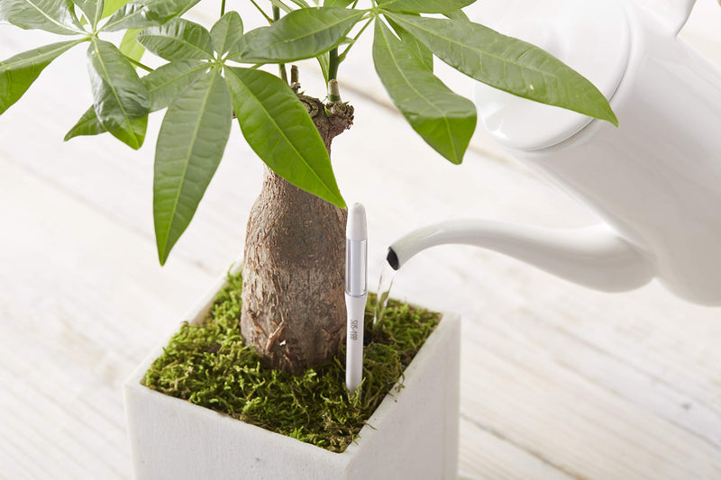 Sustee Aquameter, Green, Small - Plant Soil Moisture Sensor - Best for Potted Plants (Refillable Style) - NewNest Australia