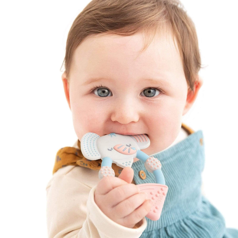 Cheeky Chompers Animal Teethers - Teething Toys for Babies - Adorable Teething Rings with Integrated Gel Applicator and Soft Silicone Design – Fun, Friendly and 100% Safe - Darcy The Elephant 1 Count (Pack of 1) - NewNest Australia