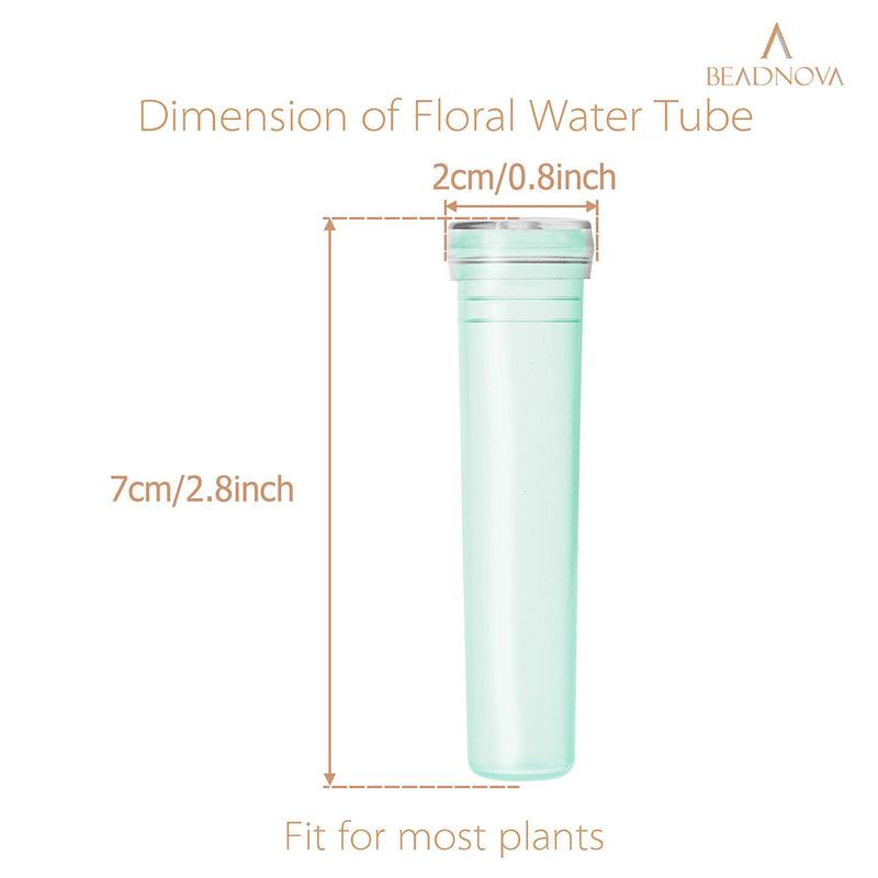 BEADNOVA Floral Water Tubes 2.8 Inch Plastic Water Tubes for Floral Flower Vials with Caps for Flower Arrangement Decoration (Green, 20 Pcs) 20pcs - NewNest Australia