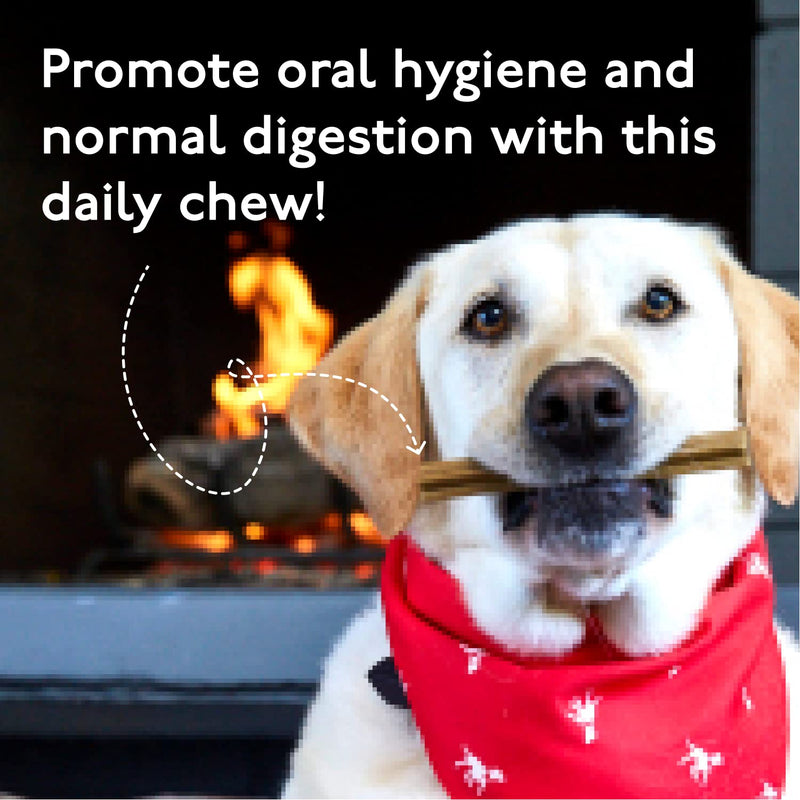Petlab Co. Prebiotic Dental Sticks – Dog Dental Sticks To Target Plaque Build-Up At The Source & Keep Breath Fresh - Formulated To Maintain Your Dog’s Oral Hygiene 150 g (Pack of 4) - NewNest Australia