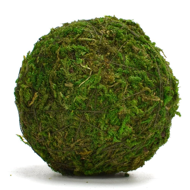 NewNest Australia - Byher Natural Green Moss Decorative Ball,Handmade (3.5"-Set of 6) 