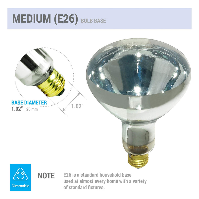 250R40/1 250-Watt, Incandescent R40 Reflector, Clear Head Lamp, Heat Flood Lamp Light Bulb, E26 Standard Medium Screw Base, 120V, 6,000 Hour Rated (Pack of 2-Clear-Heat Lamps) - NewNest Australia