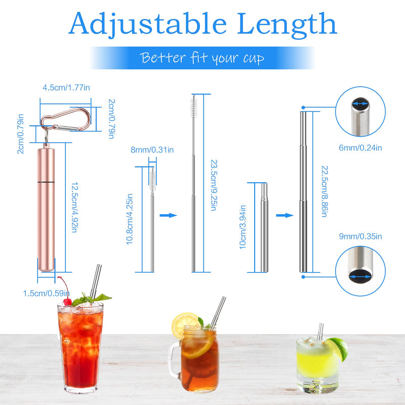 3Packs Stainless Steel Straws Reusable Telescopic Straws 22.5cm Portable Metal Drinking Straws Collapsible Straws with 3 Telescopic Cleaning Brush and Key Ring Case for Travel Home Office(3 Colors) Style 1 - NewNest Australia