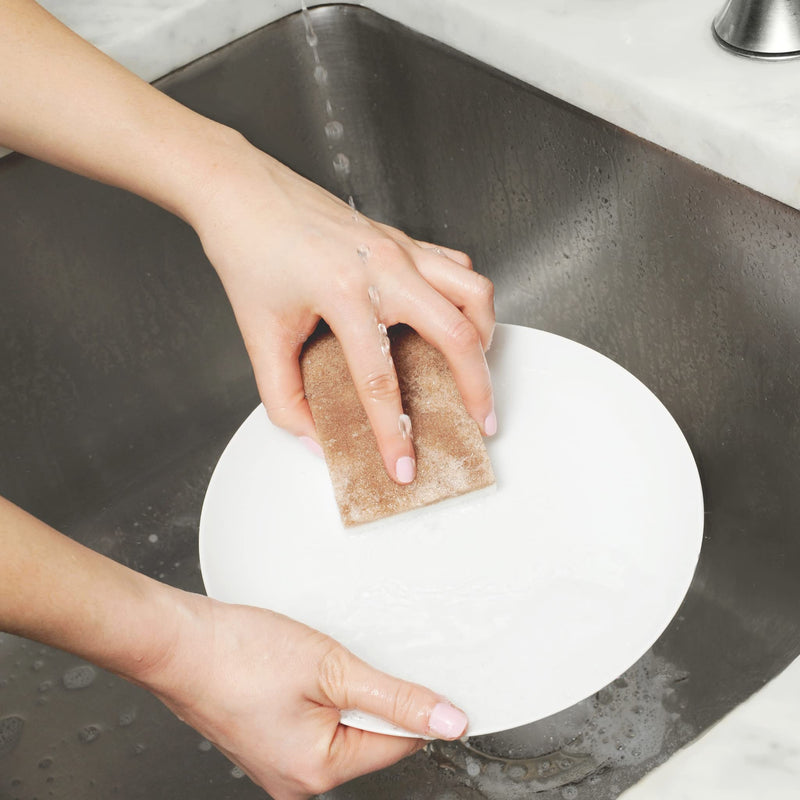 Full Circle In A Nut Shell Walnut Scrubber Sponges, Non-Scratch, Set of 2, 2 oz Scrubber Sponges, Set of 2 - NewNest Australia
