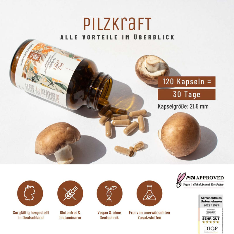 Naturtreu Pilzkraft 120 Capsules Mushroom Complex High Dose With Hericium Erinaceus (Lions Mane) Extract, Chaga, Reishi Extract, Shiitake Extract, Beta Glucan, Vitamin B2, B5 & B6 - NewNest Australia