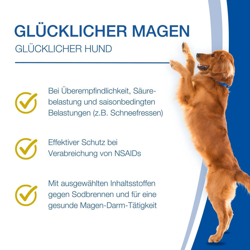 NutriLabs Acid Protect® chewable tablets for dogs 100 pieces - stomach herbal tablets with montmorillonite, psyllium, marshmallow, zinc, etc. - health products for dogs - nutritional supplement dog single - NewNest Australia