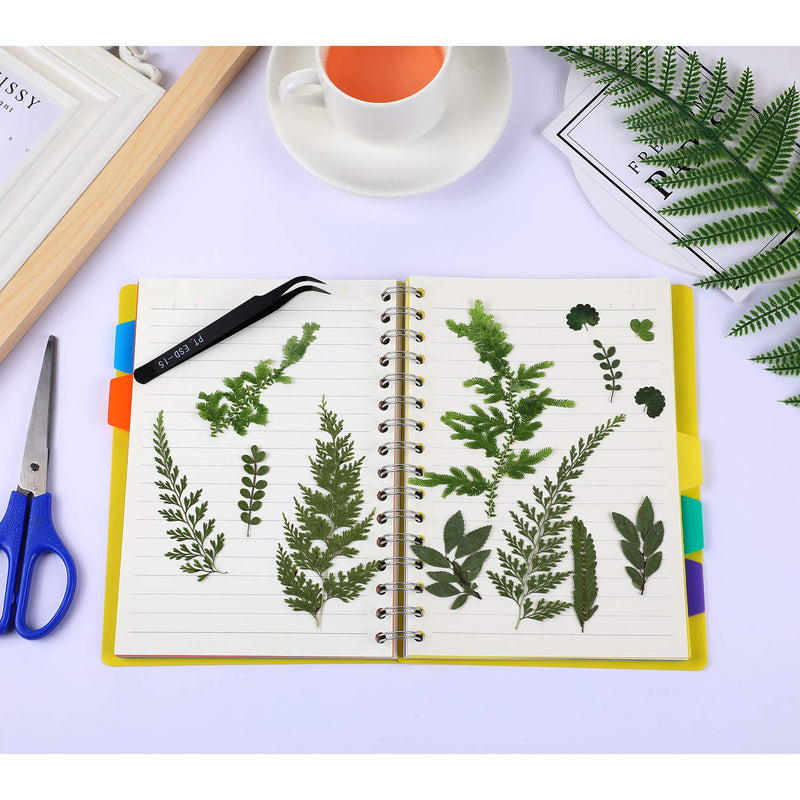 42 Pieces Dried Greenery Dried Leaves for Resin Real Dried Pressed Flowers Assorted Real Dried Pressed Leaves Dry Leaves for Pressed Leaf Art Craft DIY Embellishment Decorations, 7 Styles - NewNest Australia