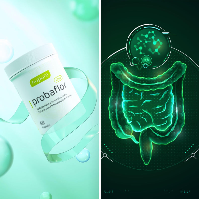 Probaflor Plus - Probiotics - Probiotics Intestinal Restoration - 60 Capsules For 60 Days - With 25 Billion Cfu, 20 Bacterial Strains Plus Inulin & Peppermint For Digestion - Nupure - NewNest Australia
