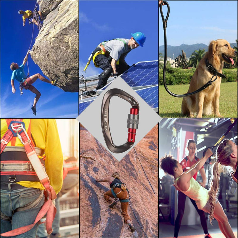 XINDA Screwgate Locking Carabiner Clip - Professional Rock Climbing Carabiner Screw Lock,Heavy Duty Carabiners for Climbing,Mountaineer,Hammock,Camping,Outdoor Equipment 2 pcs Gray - NewNest Australia