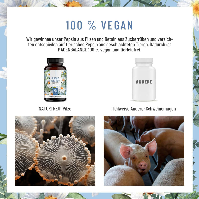 NATURTREU® Stomach Balance Betaine HCL Complex vegan - with pepsin, chamomile & chloride - support of stomach acid and digestion* - high-dose full-spectrum enzyme capsules - NewNest Australia