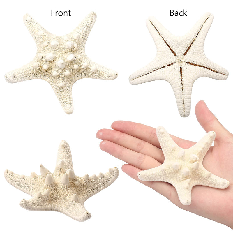 Maicodes 12 PCS Starfish | 2.5-6 Inch Starfish Decor | Natural Bulk Starfish Shells Perfect for Crafts Making Beach Theme Party Wedding Decoration, Home Wall Decor, Christmas Ornaments, Fish Tank - NewNest Australia