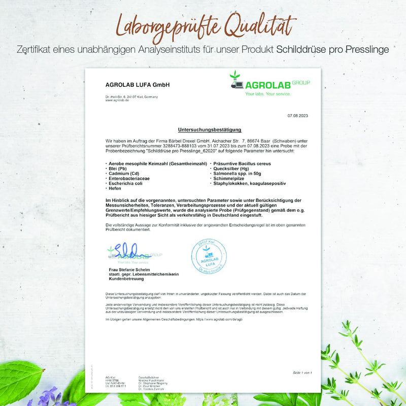 Thyroid tablets with selenium 100µg + vitamin D3 + verbena + lemon balm + alfalfa (125 pieces) 100% natural production in Germany, selenium yeast, metabolism, thyroid Pro BÄRBEL DREXEL® - NewNest Australia