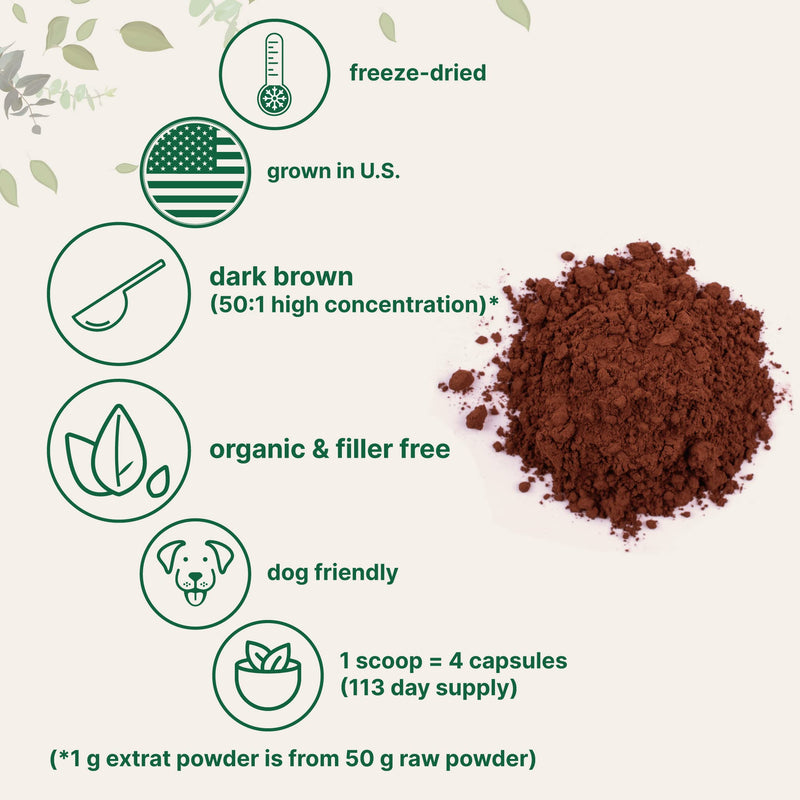 Sustainably US Grown, Organic Turkey Tail Mushroom Powder (50:1 Extract), 8 Ounce, Freeze Dried with Active Polysaccharides, Pure Turkey Tail Supplement, Supports Immune Response & Cellular Level 8 Ounce (Pack of 1) - NewNest Australia