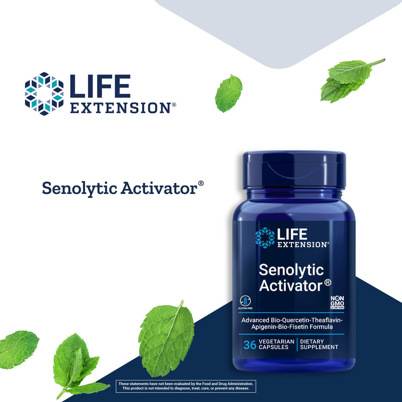 Life Extension Senolytic Activator - with Quercetin, Fisetin - For Immune Support, Anti-Aging & Longevity - Supports Systemic Rejuvenation - Non-GMO, Gluten-Free - 36 Vegetarian Capsules - NewNest Australia