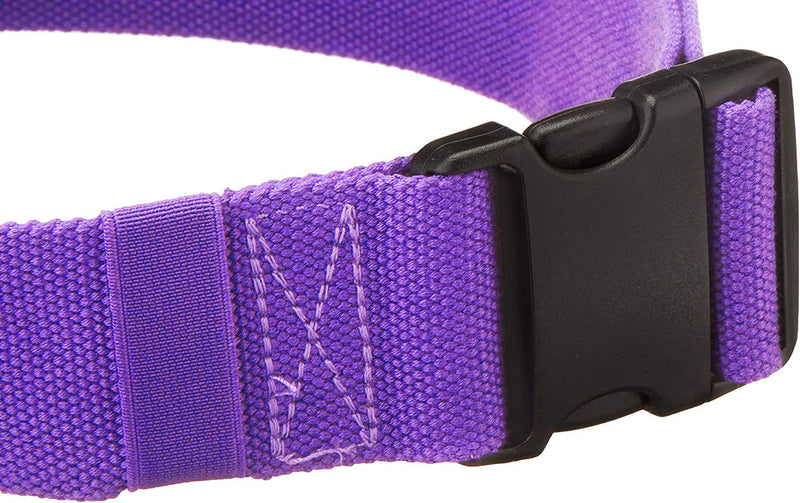 Gait Belt with Plastic Buckle by LiftAid - Transfer and Walking Aid with Belt Loop Holder for Assisting Therapist, Nurse, Home Care - 60"L x 2"W (Purple) Purple - NewNest Australia