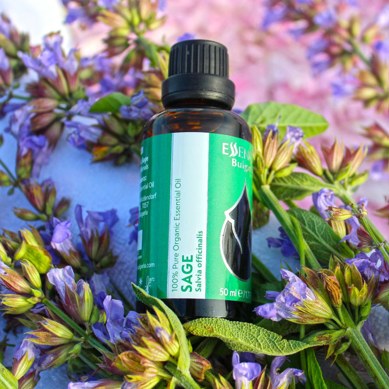 Essences Bulgaria Organic Sage Essential Oil 10 Ml | Salvia Officinalis | 100% Natural | Undiluted | Organic Certified | Top Quality From Family Business | No Genetic Engineering | Vegan - NewNest Australia