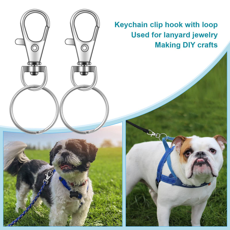 IPXEAD 100PCS Premium Key Chain Clip Hooks, Swivel Clasps Lanyard Snap Hook, Keychain Hooks for Lanyard Key Rings Crafting - NewNest Australia