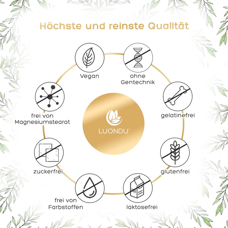 Quercetin 500Mg High Dose - 120 Quercetin Capsules Vegan - Premium Raw Material: Japanese String Tree Flower Extract - Quercetin High Dose - Laboratory Tested, High Dose & No Additives - NewNest Australia