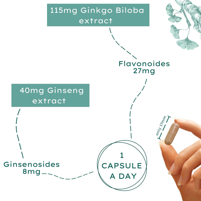 Nature Basics® Natural Ginkgo Biloba Sustainable in Amber jar | CO2 Neutral & additive Free | 180 Vegan Capsules | 115mg Ginkgo Biloba & 40mg Ginseng Extract per Daily dose - NewNest Australia