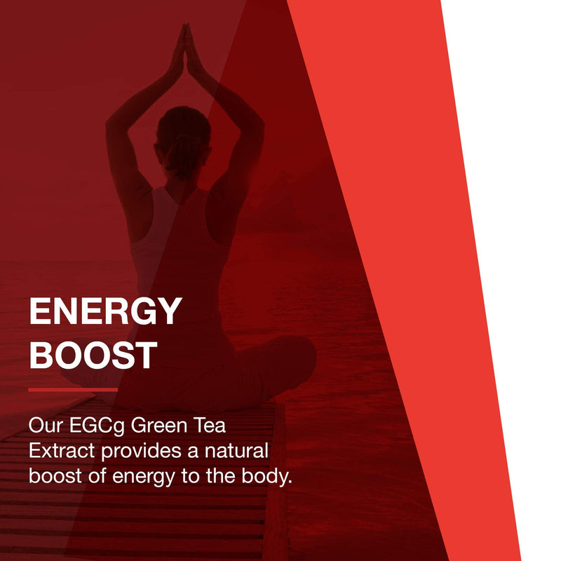 Protocol EGCg Green Tea Extract 200mg - Oxidative Stress Quencher, Cellular Health - 90 Veg Caps - NewNest Australia