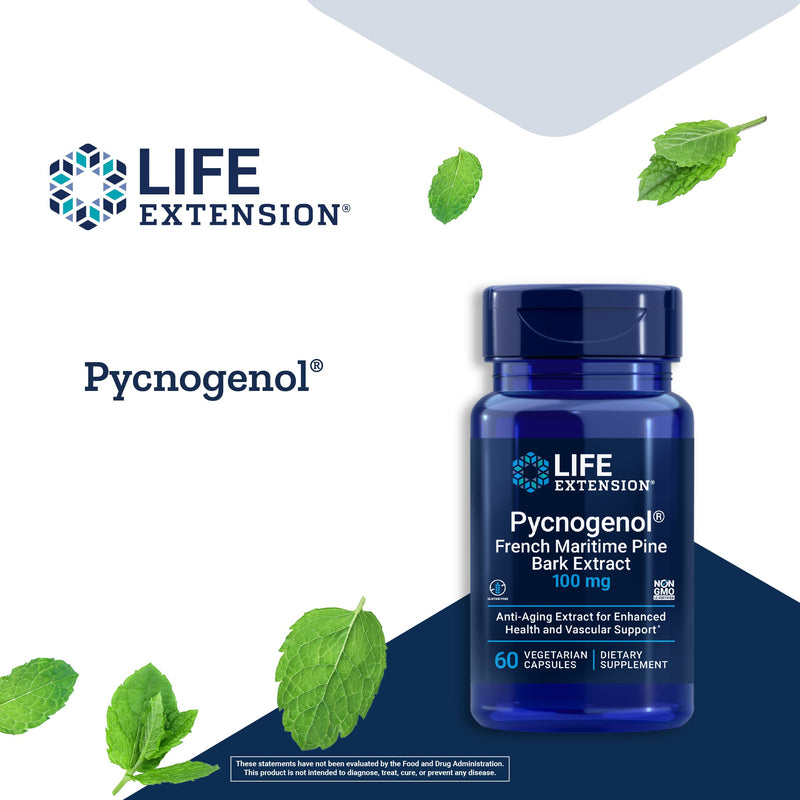 Life Extension Pycnogenol French Maritime Pine Bark Extract, 100 Mg - For Antioxidant & Blood Sugar Support + Vascular Health & Circulation - Gluten Free, Non-GMO - 60 Vegetarian Capsules - NewNest Australia