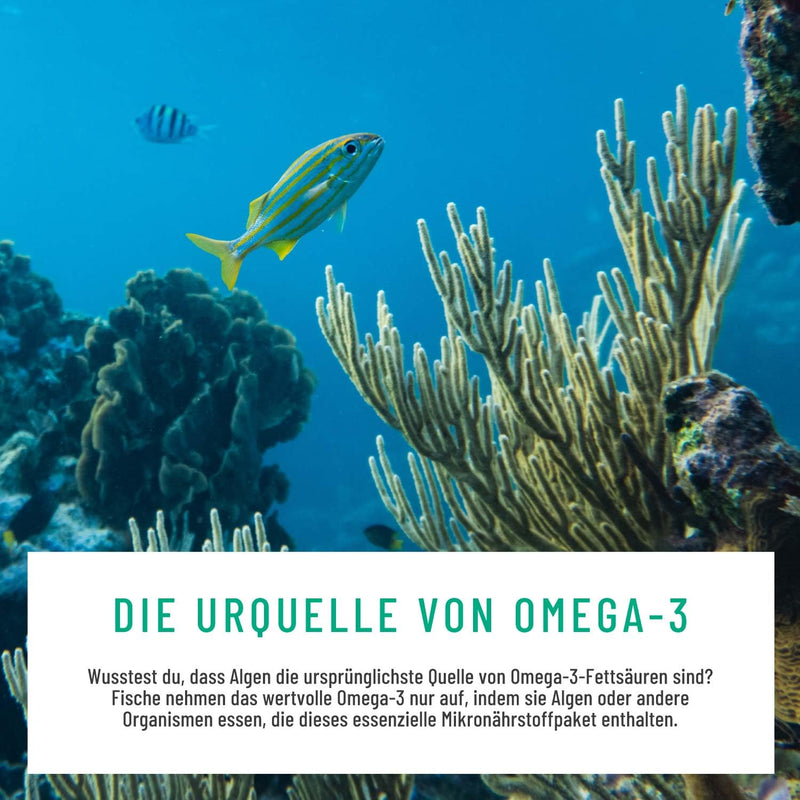 Naturtreu Algae Power - Omega 3 Vegan From Algae Oil - 1000Mg Omega 3 Algae Oil From Sustainable Cultures - Microalgae Oil With High Doses Of Dha & Epa In The Optimal Ratio - Laboratory Tested - NewNest Australia