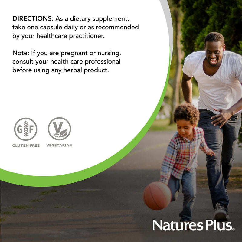 NaturesPlus Herbal Actives Licorice (DGL) Capsules - 500mg, 60 Vegan Supplements - Maximum Potency, Anti-Inflammatory, Stomach and Stress Reliever - Vegetarian, Gluten-Free - 60 Servings 60 Count (Pack of 1) - NewNest Australia