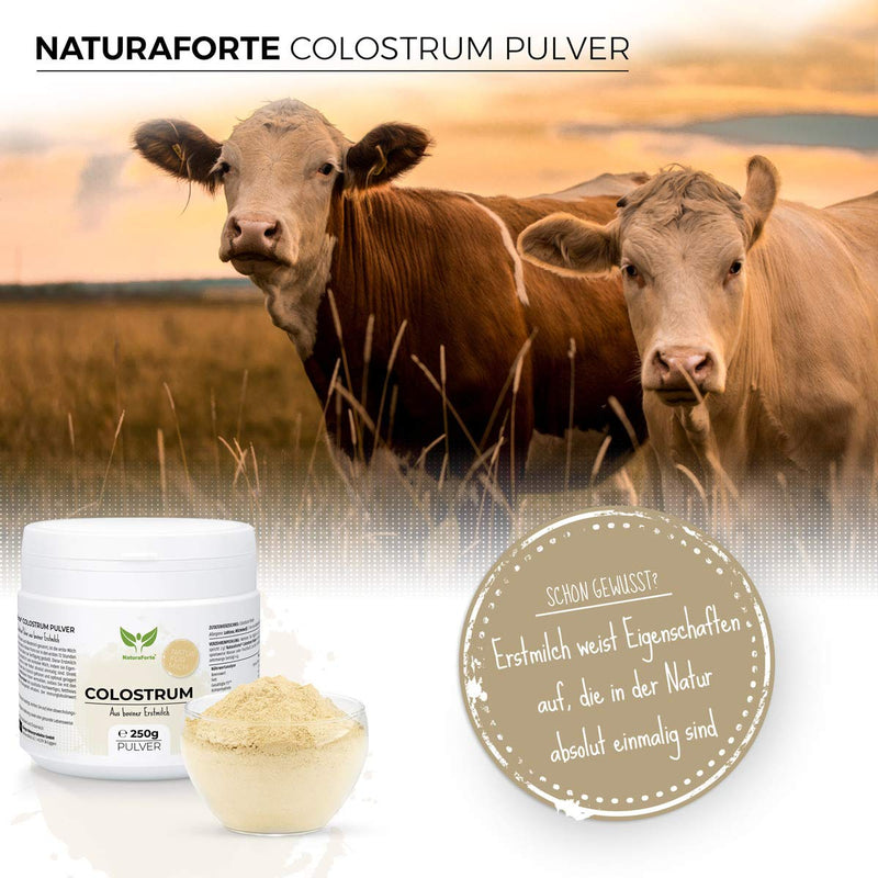NaturaForte Colostrum Powder 250 g - Natural Cow Colostrum Powder, Beast Milk, First Milk Gently Degreased, Milk Powder with Immunoglobuline G - NewNest Australia