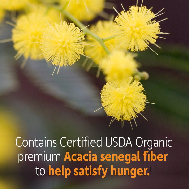 Garden of Life Dr Formulated Organic Fiber Supplement Powder Citrus, Sugar Free, Psyllium Free Prebiotic Superfoods, Constipation Relief and Hunger Control for Men and Women, 32 Servings Citrus Fiber - NewNest Australia
