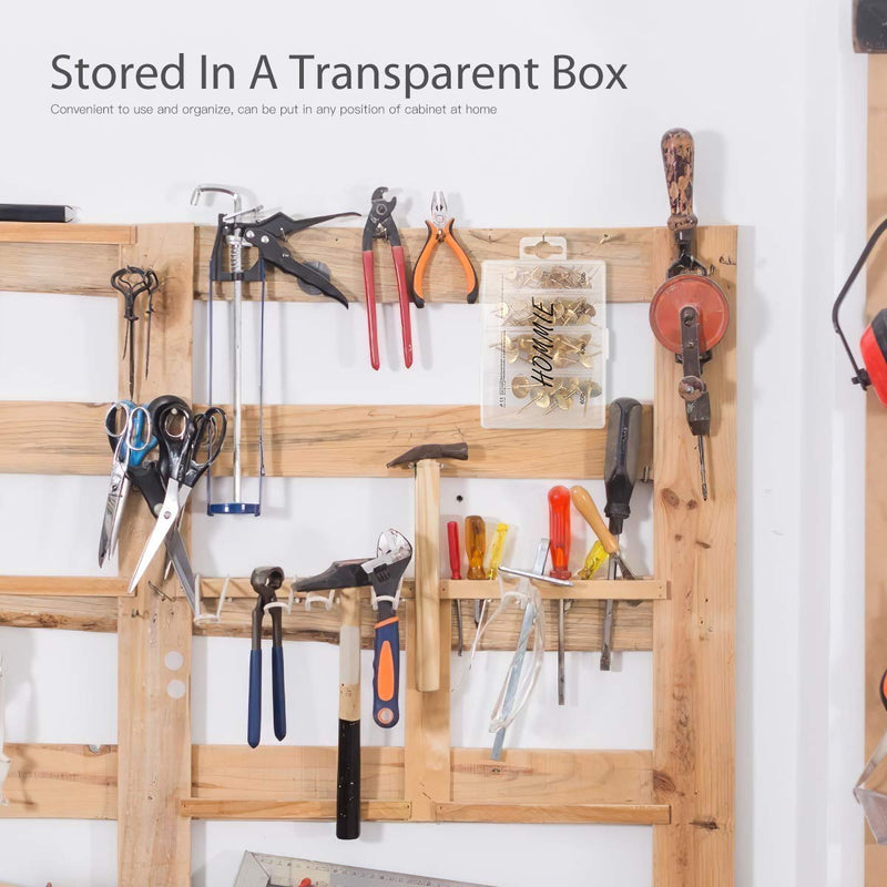 Picture Hanging Nails, Hommie Picture Hangers with10-60 lbs 50PCS Picture Hangers Hardware kit One Step Picture Hangers Nails for Drywall, Picture Frame, Canvas, Mirror Hanging Decoration 10-60bls 50pcs - NewNest Australia