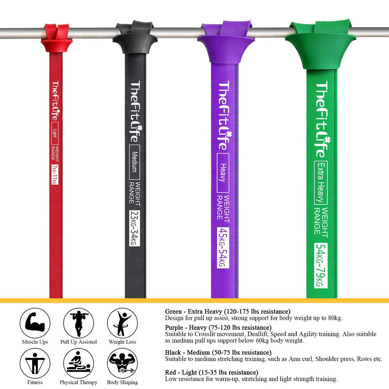 TheFitLife Resistance Pull Up Bands - Pull-Up Assist Exercise Bands, Long Workout Loop Bands for Body Stretching, Powerlifting, Fitness Training, Bonus Carrying Bag and Workout Guide Black - NewNest Australia