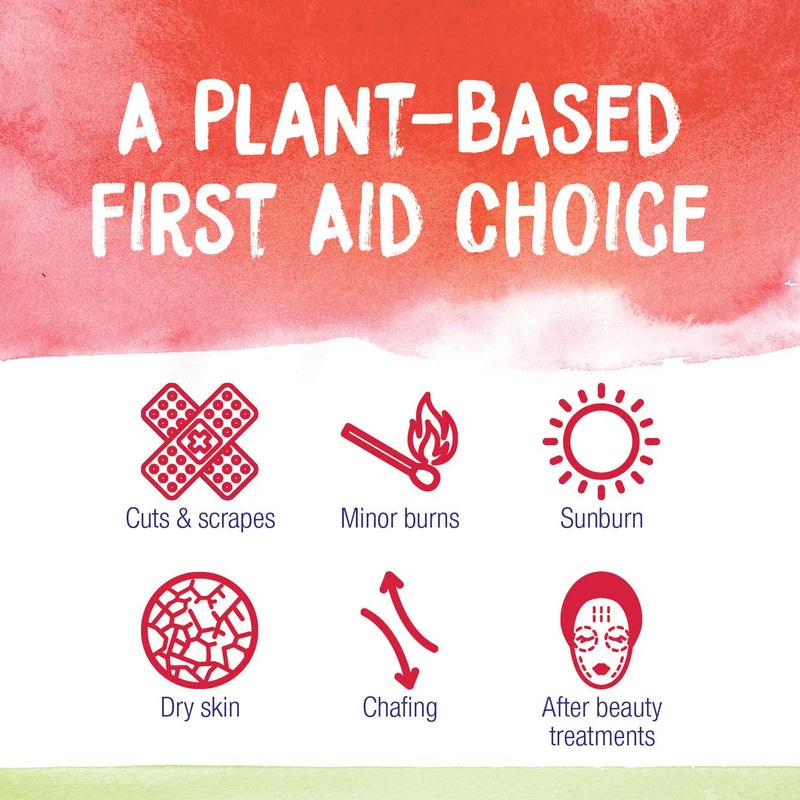 Boiron Calendula Cream, 2.5 Ounces, Topical First Aid Cream - NewNest Australia