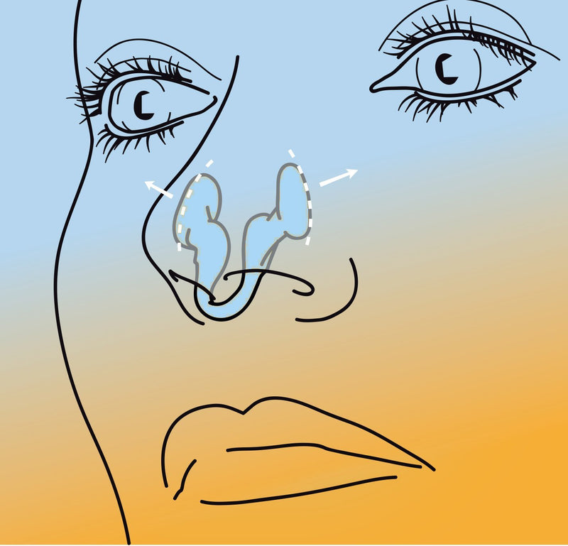 Airmax nasal dilator | Anti snore device | 76% more air | Breathe freely through the nose | More oxygen | 1 Pack classic small blue | Snoring aid for men and women | sleep better and wake up rested | nasal congestion | Free storage case included - NewNest Australia
