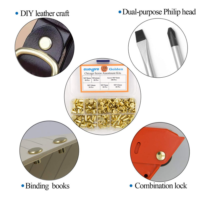 Chicago Screws Assorted Kit Golden Leather Rivets Screw Rivets Slotted Phillip Head Book Binding Posts Nail Rivet Chicago Bolts for DIY Leather Craft Bookbinding (Goldene 5x5,6,8,10,12) Goldene 5x5,6,8,10,12 - NewNest Australia