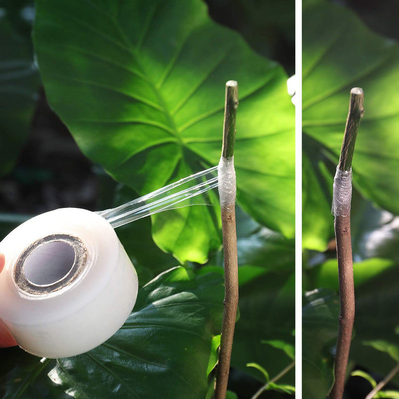 NAYE Grafting Tape for Fruit Trees,3 Pcs Stretchable Floristry Film,3 Color with Various Elasticity,Plants Repair Budding Tape - NewNest Australia