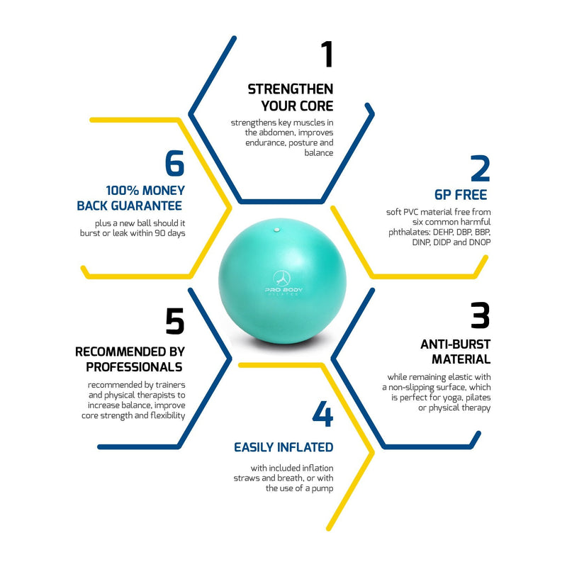 ProBody Pilates Mini Exercise Ball with Pump - 9 Inch Small Bender Ball for Stability, Barre, Pilates, Yoga, Balance, Core Training, Stretching and Physical Therapy with Workout Guide Aqua - NewNest Australia