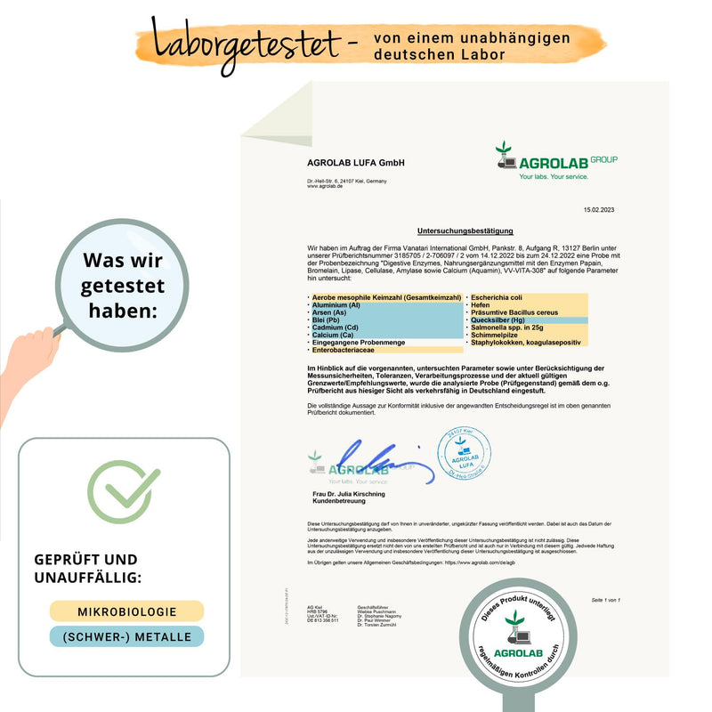 Enzyme Complex Bromelain Papain Amylase Lipase Cellulase Gastric Juice-Resistant Drcaps Natural Digestive Enzymes Laboratory Tested No Additives German Production Vegavero - NewNest Australia