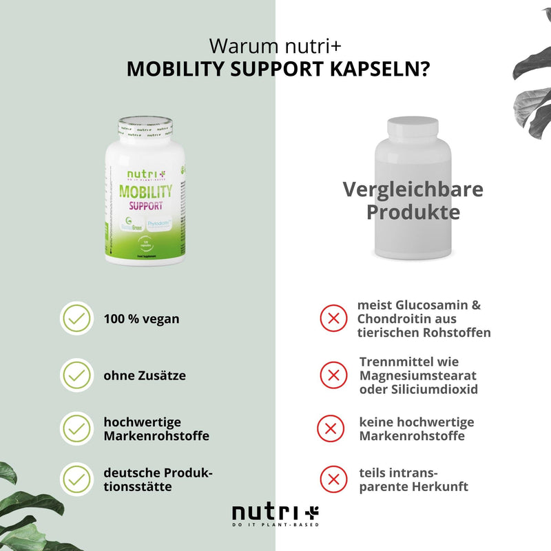 Glucosamine + Chondroitin High Dose + Vegan - Mobility Support With Msm, Hyaluronic Acid, Zinc, Vitamin C - Brand Raw Materials Glucosagreen + Phytodroitin - 120 Capsules - NewNest Australia