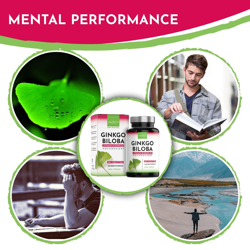 Vegan Ginkgo Biloba Extract High Dose - with Vitamin B12 Helps Reduce Tiredness and Fatigue - 365 Small Tablets That Are Easy to Take 365 Pieces (Pack of 1) - NewNest Australia