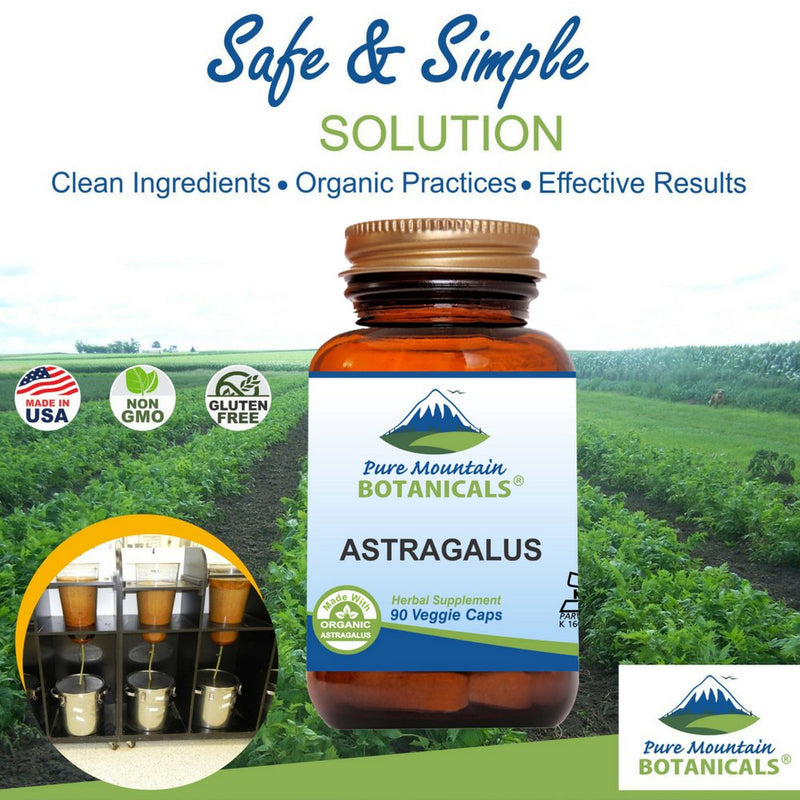 Astragalus Root Capsules - 90 Kosher Vegan Caps with 470mg Organic Astragalus - NewNest Australia