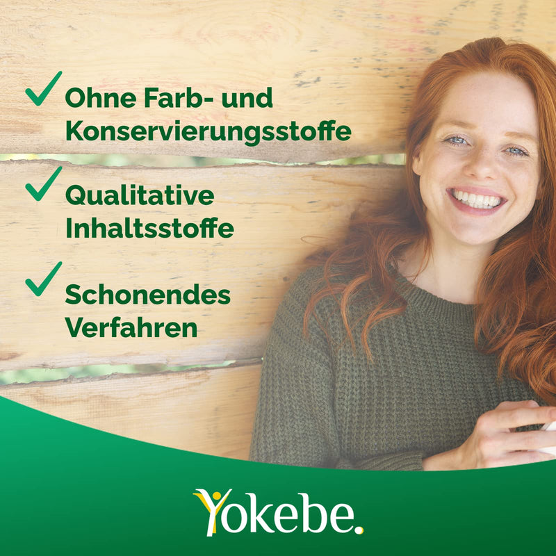 Yokebe Classic - Diet Shake for Weight Loss - Gluten-Free and Vegetarian - Meal Replacement for Weight Loss with High-Quality Proteins - 500 g = 12 Servings - NewNest Australia