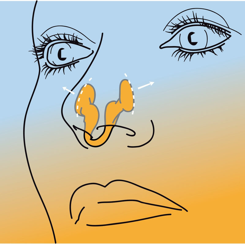 Airmax nasal dilator | Breathe better with Airmax | Against nasal congestion - Sport version - 2x small size, 6-month relief | Airmax is used by athletes to improve performance! - NewNest Australia
