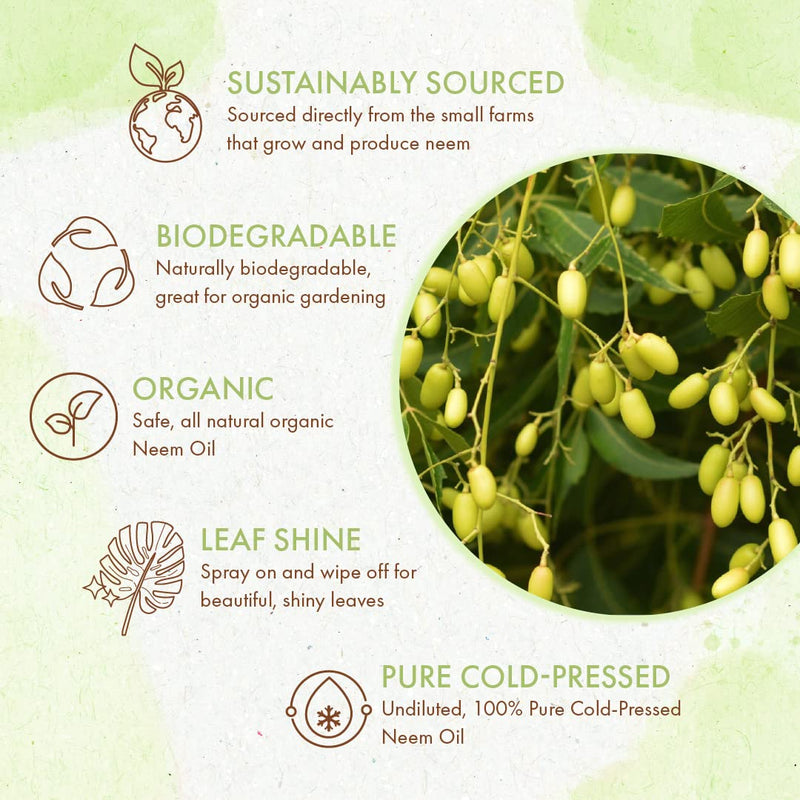 Organic Neem Oil - Pure Concentrate, Cold Pressed for Plants Indoor and Outdoor - Leaf Shine Spray with High Azadirachtin Content (8 oz) 8 Ounce - NewNest Australia
