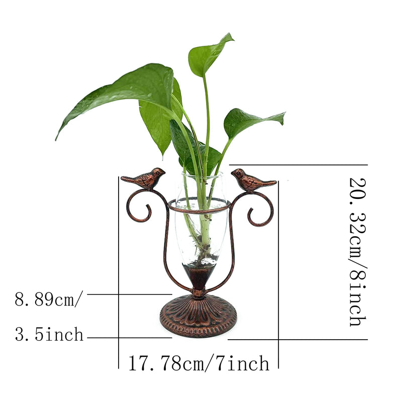 POXOHO Desktop Plant Terrarium, Iron Bird Art Glass Propagation Vase, Propagation Planters with Vintage Metal Frame, Suitable for Decoration of Desktop Hydroponic Plants in Office and Living Room - NewNest Australia