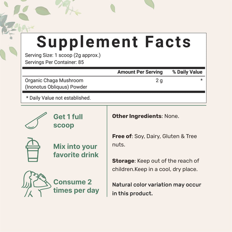 Sustainably Maine Grown, Wild Harvest Organic Chaga Mushroom Extract 100:1 Powder, Chaga Tea, 6 Ounce, Superfood for Beverage and Smoothie, Vegan Friendly 6 Ounce (Pack of 1) - NewNest Australia