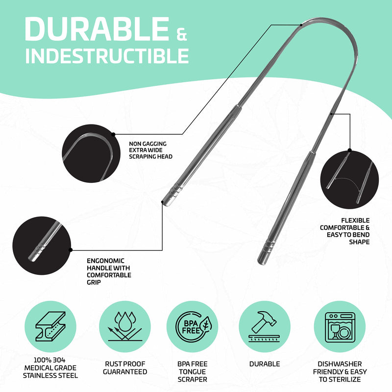 [2 pack] KN FLAX Tongue Scraper [Medical Grade] Reduce Bad Breath Maintains Oral Care 100% BPA Free Metal Tongue Scraper, Tongue Cleaner for Adults and Kids, Easy to Use with Non-Synthetic Handle 2 Count (Pack of 1) - NewNest Australia
