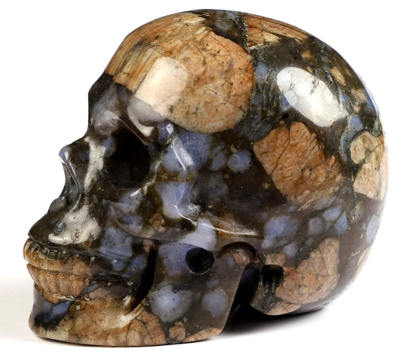 NewNest Australia - Skullis 2.0” Que Sera Stone Crystal Skull, Hand Carved Gemstone Fine Art Sculpture, Reiki Healing Stone Statue. 