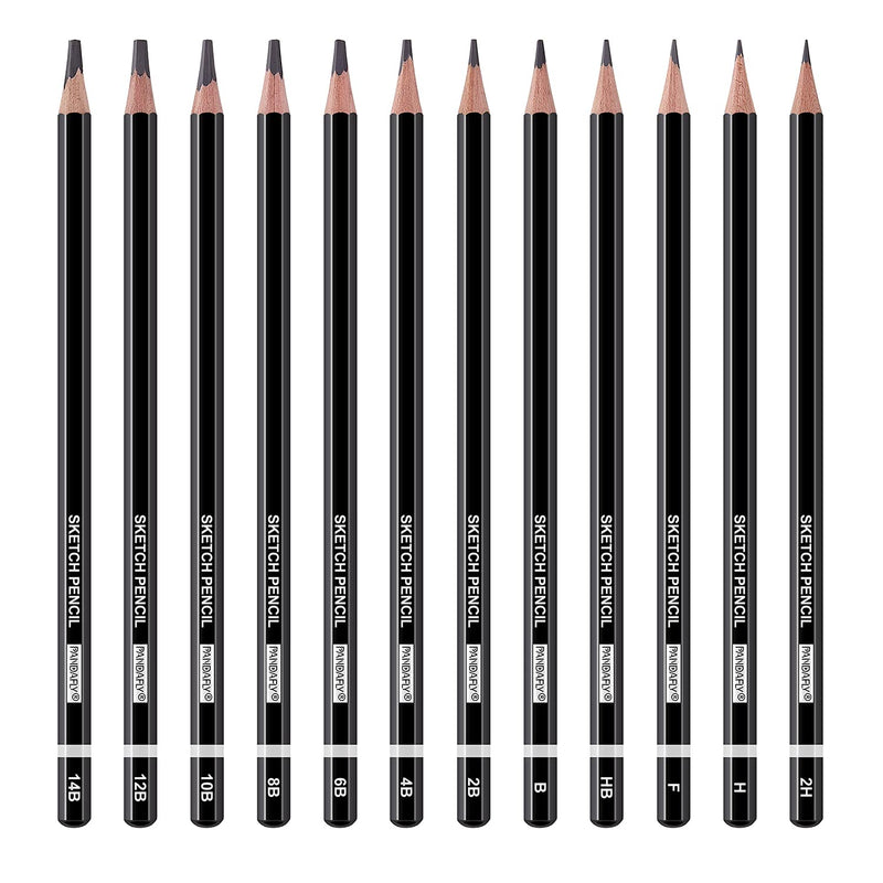 PANDAFLY Professional Drawing Sketching Pencil Set - 12 Pieces Art Drawing Graphite Pencils(14B - 2H), Ideal for Drawing Art, Sketching, Shading, Artist Pencils for Beginners & Pro Artists - NewNest Australia