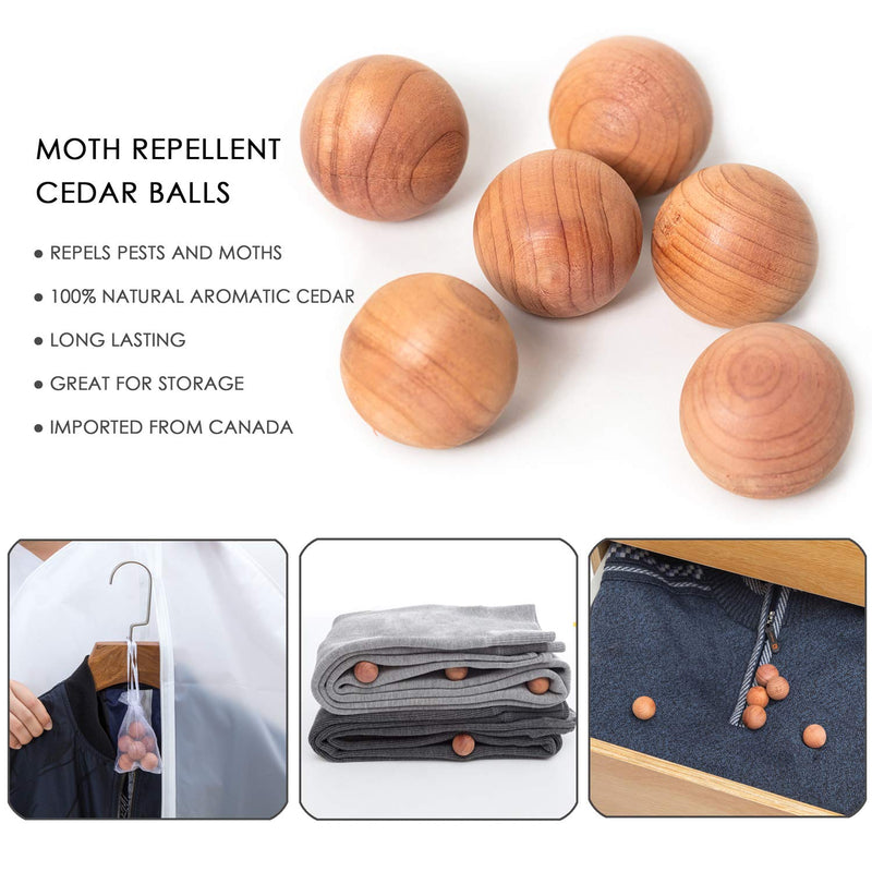 NewNest Australia - allhom Small Size Garment Bags - Set of 6 Translucent 31 inch Hanging Clothing Bags with Cedar Balls, for Boy Girls’ Sweater, Hoodies, Shorts 