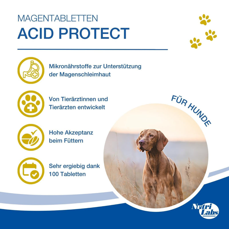 NutriLabs Acid Protect® chewable tablets for dogs 100 pieces - stomach herbal tablets with montmorillonite, psyllium, marshmallow, zinc, etc. - health products for dogs - nutritional supplement dog single - NewNest Australia